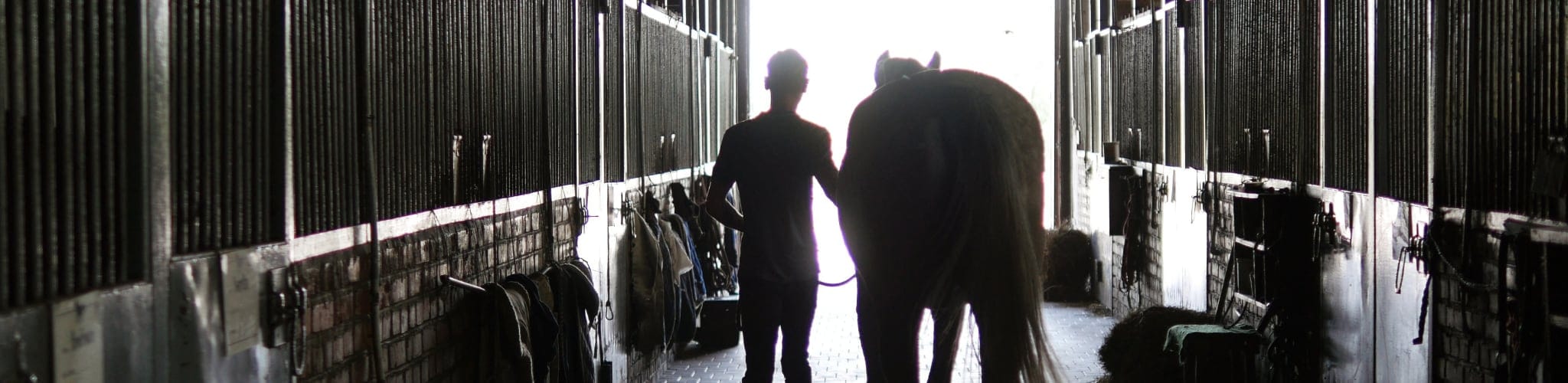 BANNIERE cheval dans une ecurie B&W